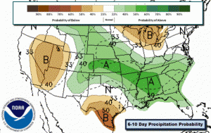 Precipitation Probability August 4-8