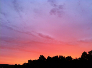 "Red Sky in Morning" Ava (Debbie Wray)